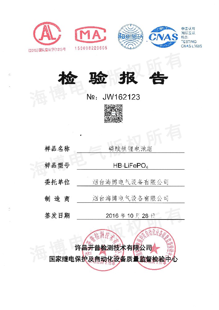 Inspection Report on Lithium Iron Phosphate Battery Pack