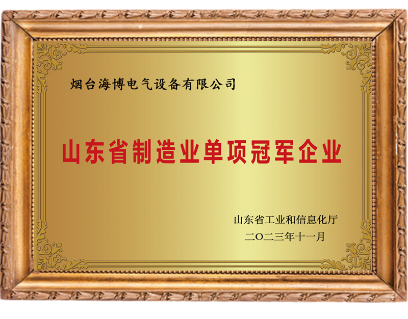 Shandong Province Manufacturing Single Champion Enterprise